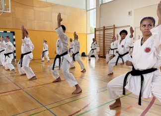 Karate-do seminar, Domžale 2026