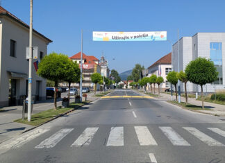 Zakaj v Domžalah drevesa niso zaželena?