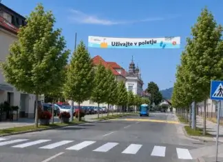Drevesa samo za okras: Brez sence in osnovne funkcije v poletni vročini