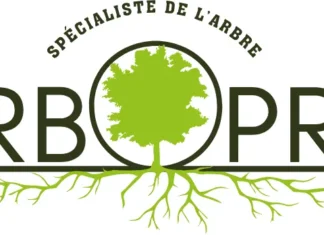 Arboristi – varuhi dreves