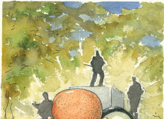 Uvodnik NOV!CE 142011: Kontrola