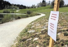 Gradiško jezero: Strupene vabe so povzročile komedijo zmešnjav